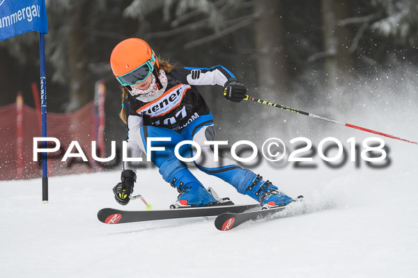 3. Ziener Cup RS