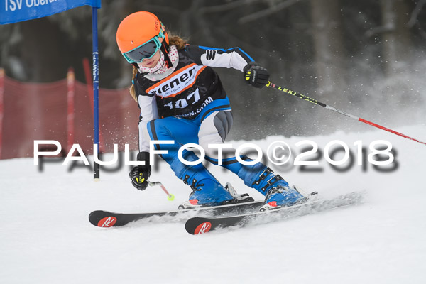 3. Ziener Cup RS