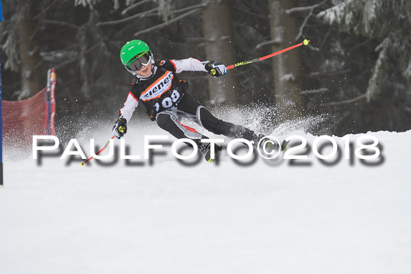 3. Ziener Cup RS