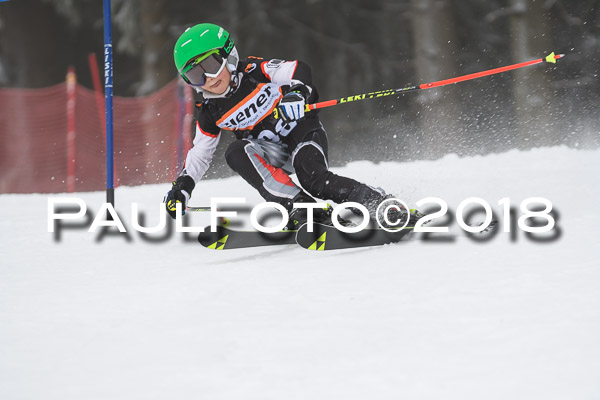3. Ziener Cup RS