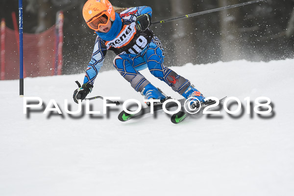 3. Ziener Cup RS