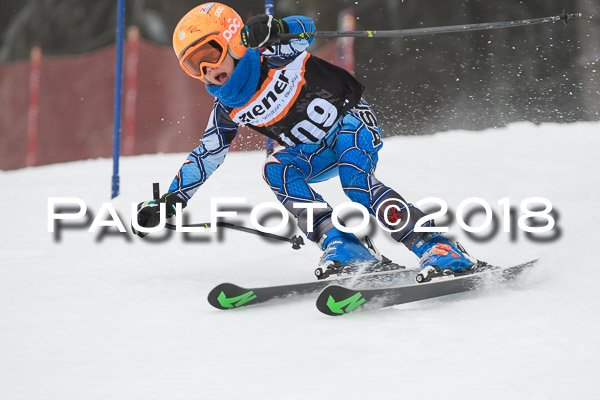 3. Ziener Cup RS