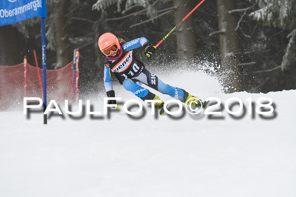3. Ziener Cup RS