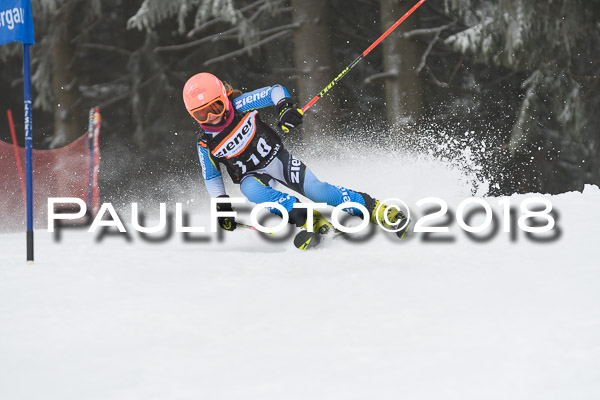 3. Ziener Cup RS