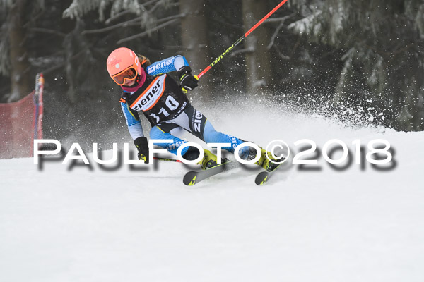 3. Ziener Cup RS