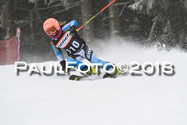 3. Ziener Cup RS