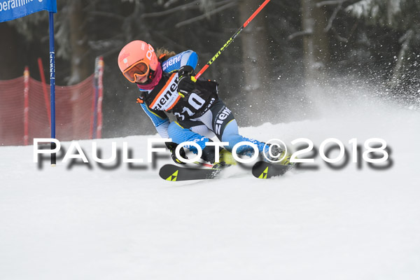 3. Ziener Cup RS