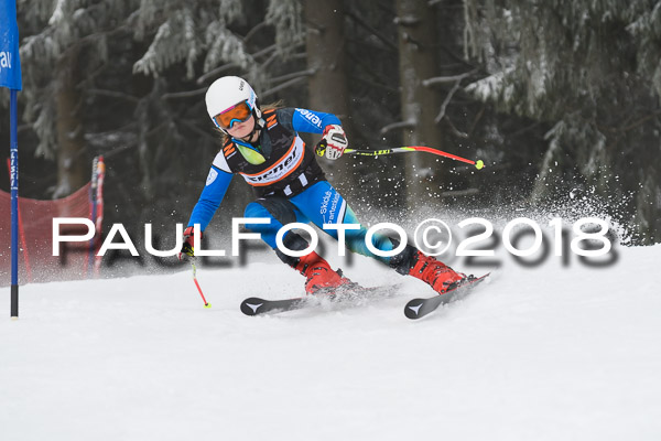 3. Ziener Cup RS