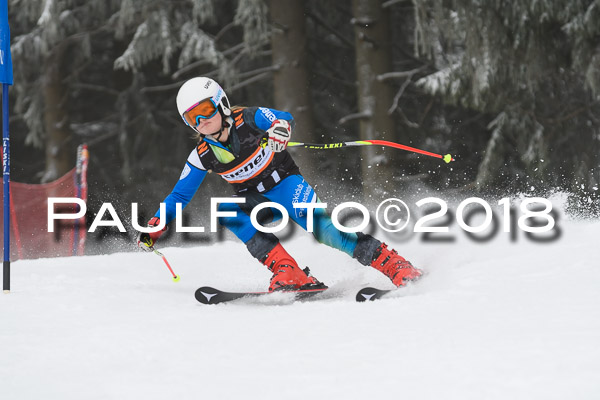 3. Ziener Cup RS
