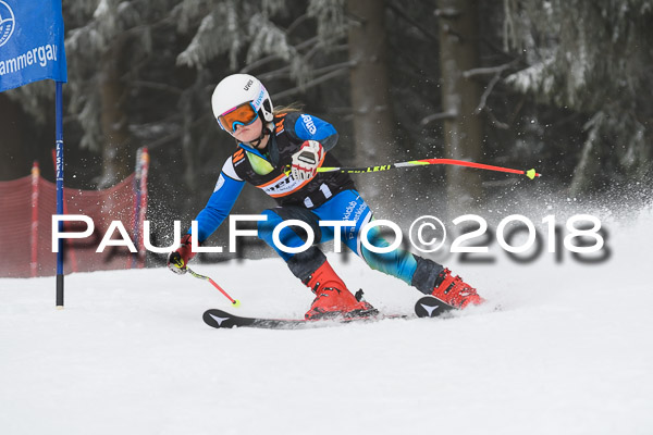 3. Ziener Cup RS