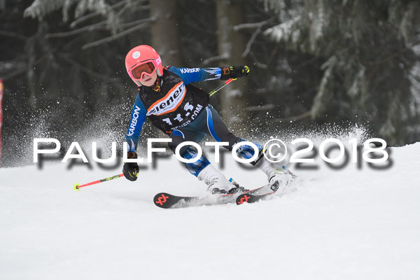 3. Ziener Cup RS