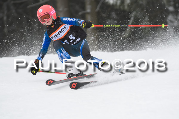 3. Ziener Cup RS