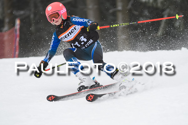 3. Ziener Cup RS