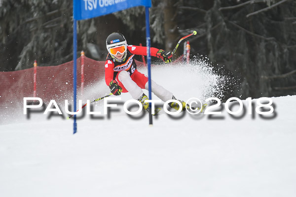 3. Ziener Cup RS