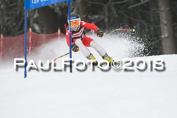 3. Ziener Cup RS