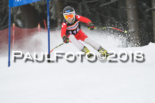 3. Ziener Cup RS