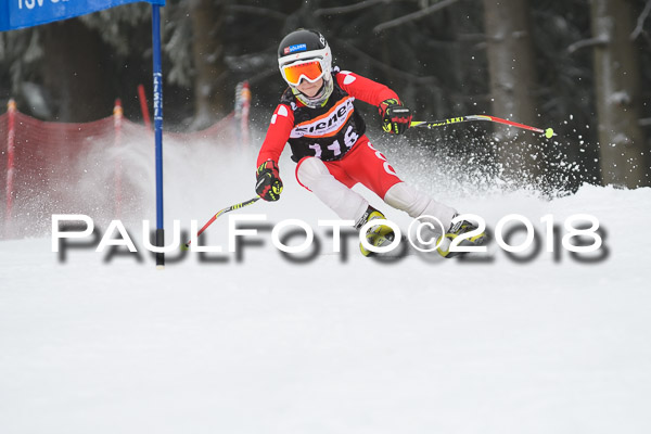 3. Ziener Cup RS