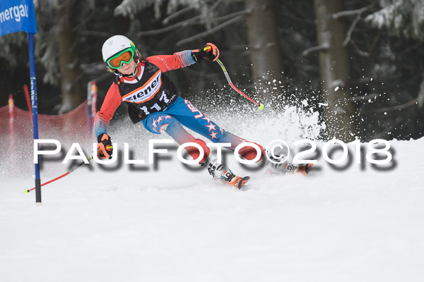 3. Ziener Cup RS