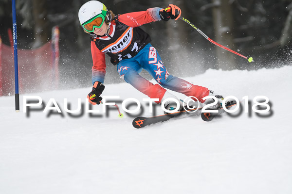 3. Ziener Cup RS