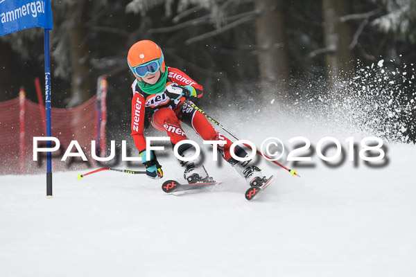 3. Ziener Cup RS