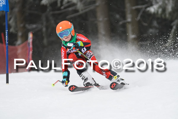 3. Ziener Cup RS