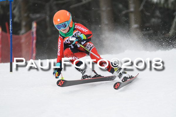 3. Ziener Cup RS
