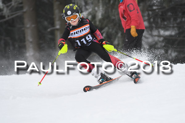 3. Ziener Cup RS