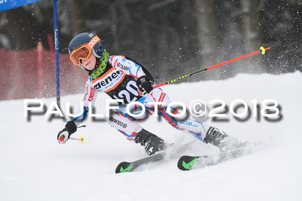 3. Ziener Cup RS