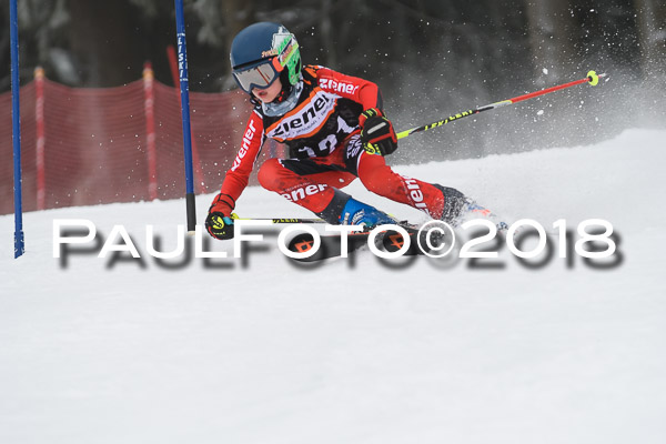 3. Ziener Cup RS