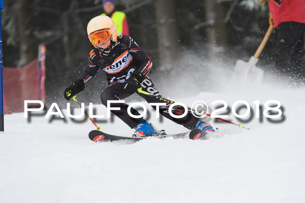 3. Ziener Cup RS