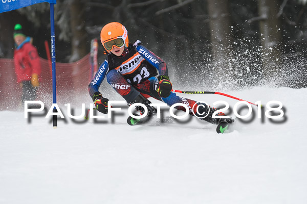 3. Ziener Cup RS