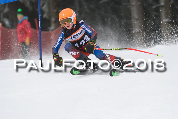 3. Ziener Cup RS