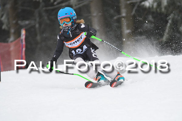3. Ziener Cup RS