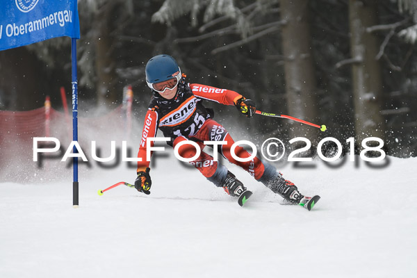 3. Ziener Cup RS