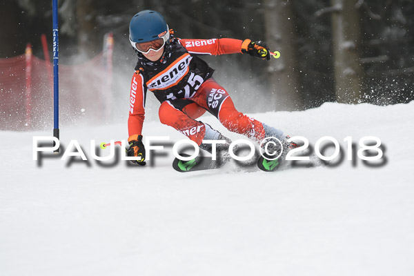 3. Ziener Cup RS