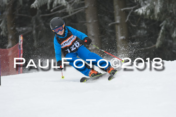 3. Ziener Cup RS