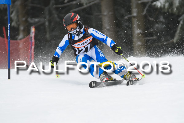 3. Ziener Cup RS