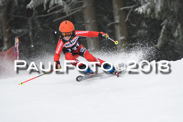 3. Ziener Cup RS