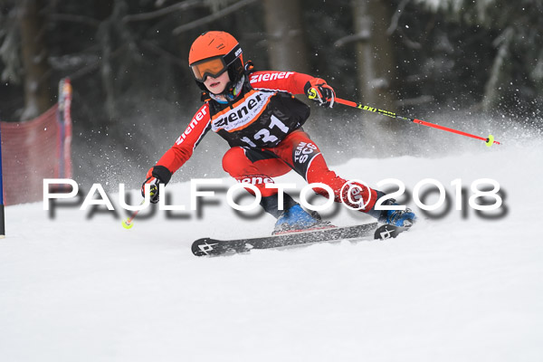 3. Ziener Cup RS