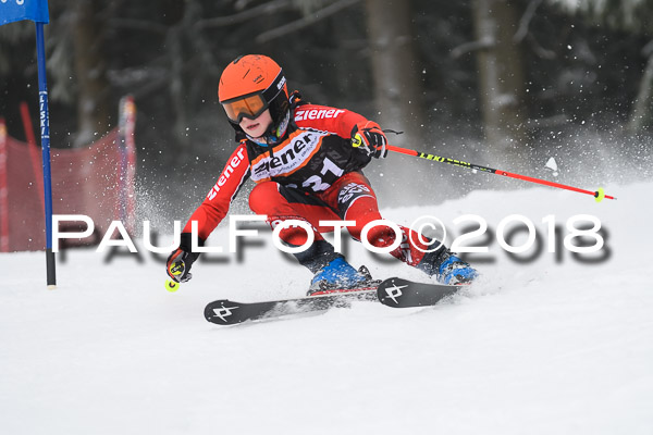 3. Ziener Cup RS