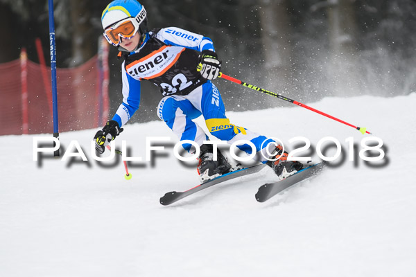 3. Ziener Cup RS
