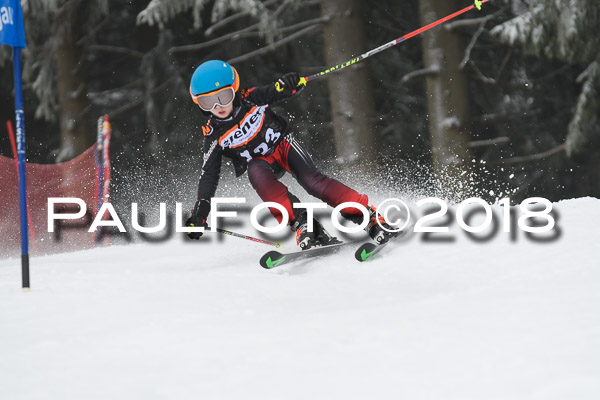 3. Ziener Cup RS