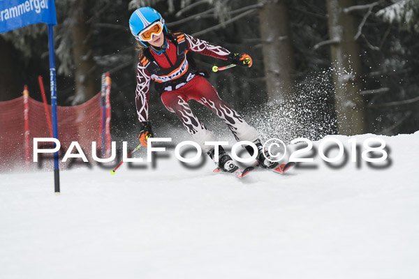 3. Ziener Cup RS