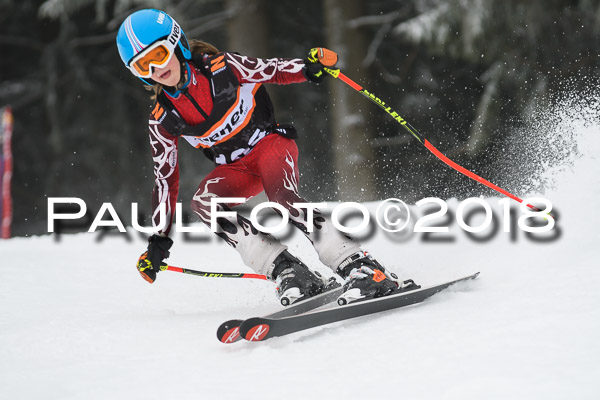 3. Ziener Cup RS