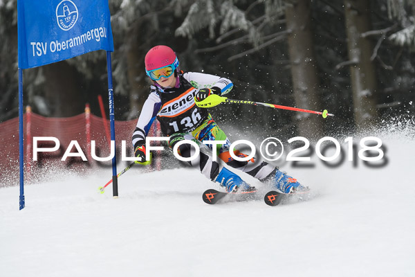 3. Ziener Cup RS