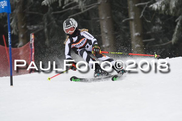 3. Ziener Cup RS