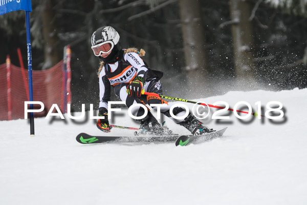 3. Ziener Cup RS