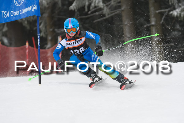 3. Ziener Cup RS