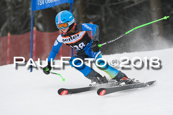 3. Ziener Cup RS