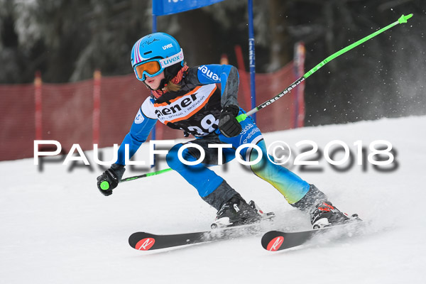 3. Ziener Cup RS